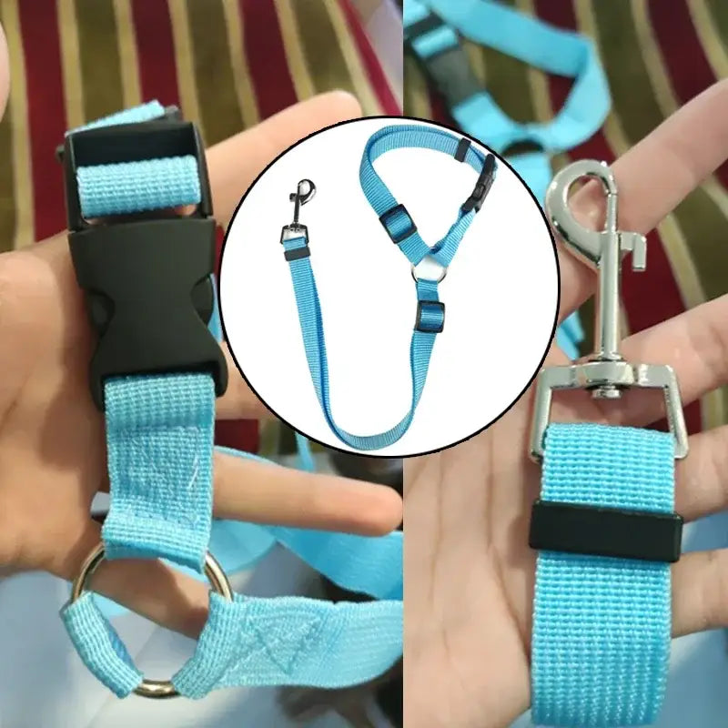 Light blue dog harness with metal attachments.