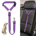 Purple Dog Seatbelt Harness and Leash Set - Vignette | DoggyElite