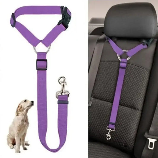 Purple dog seatbelt harness and leash set for vehicle safety.