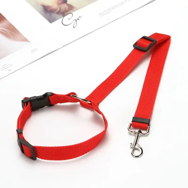 Red nylon dog collar and matching leash set.