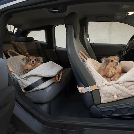 Two small dogs sitting in car seats inside a vehicle.