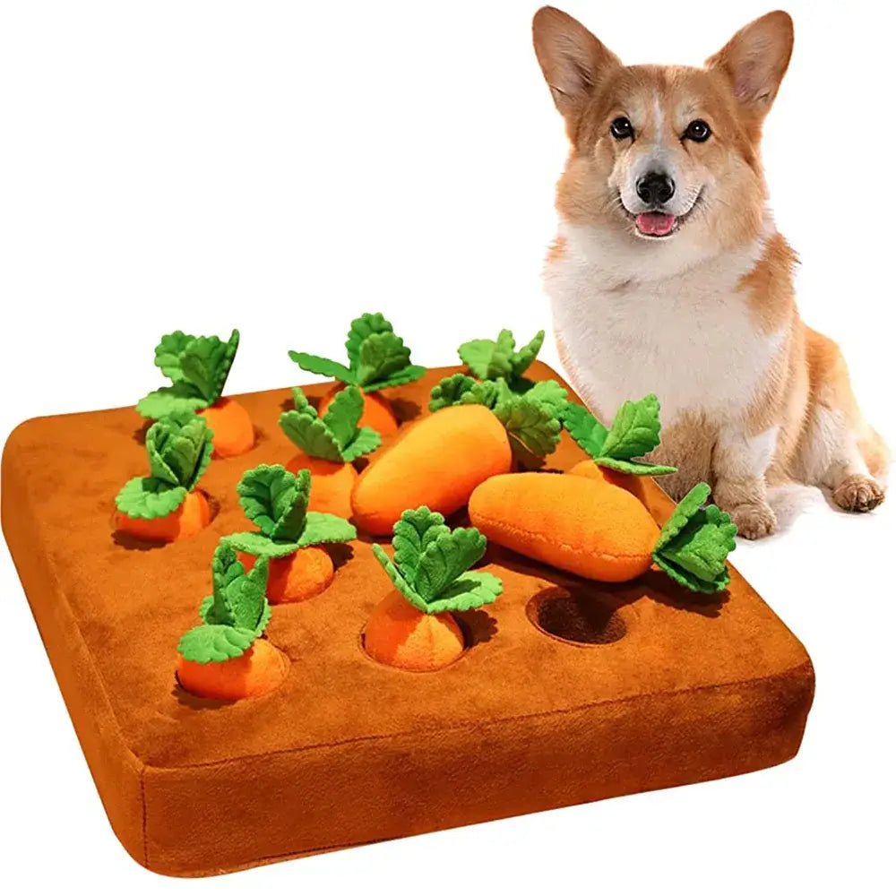 Corgi dog sitting next to a puzzle toy with carrot-shaped pieces.