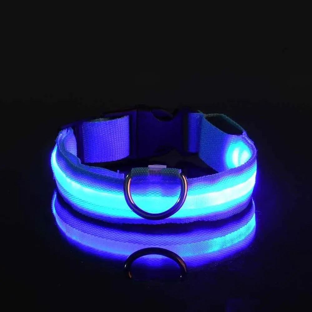 Glowing blue LED dog collar with an adjustable strap and metal ring.