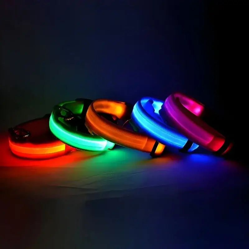 Colorful illuminated LED dog collars in various bright hues.