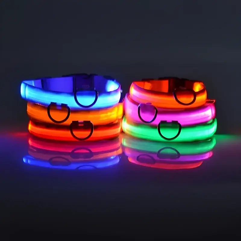 Colorful illuminated LED dog collars in various bright hues.