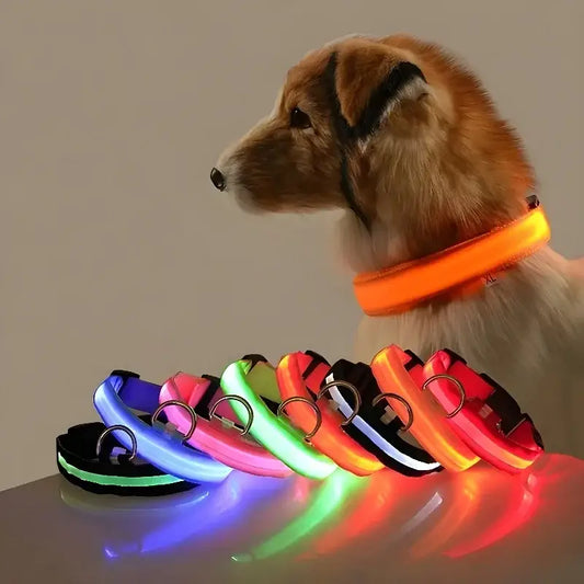 Dog wearing a glowing orange collar, with various colorful light-up collars displayed in front.