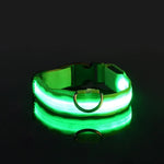 Rechargeable Light Up Dog Collar - Vignette | DoggyElite