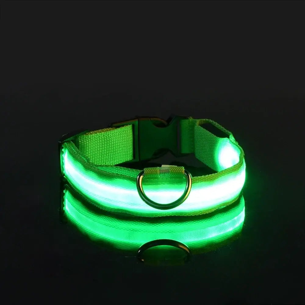 Glowing green LED dog collar with a reflective stripe.