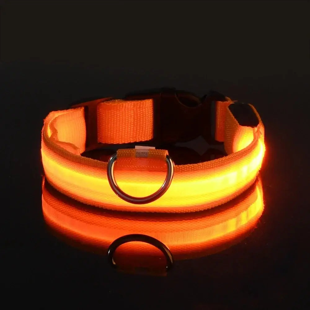 Glowing orange LED dog collar with a metal ring attachment.