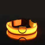 Rechargeable Light Up Dog Collar - Vignette | DoggyElite