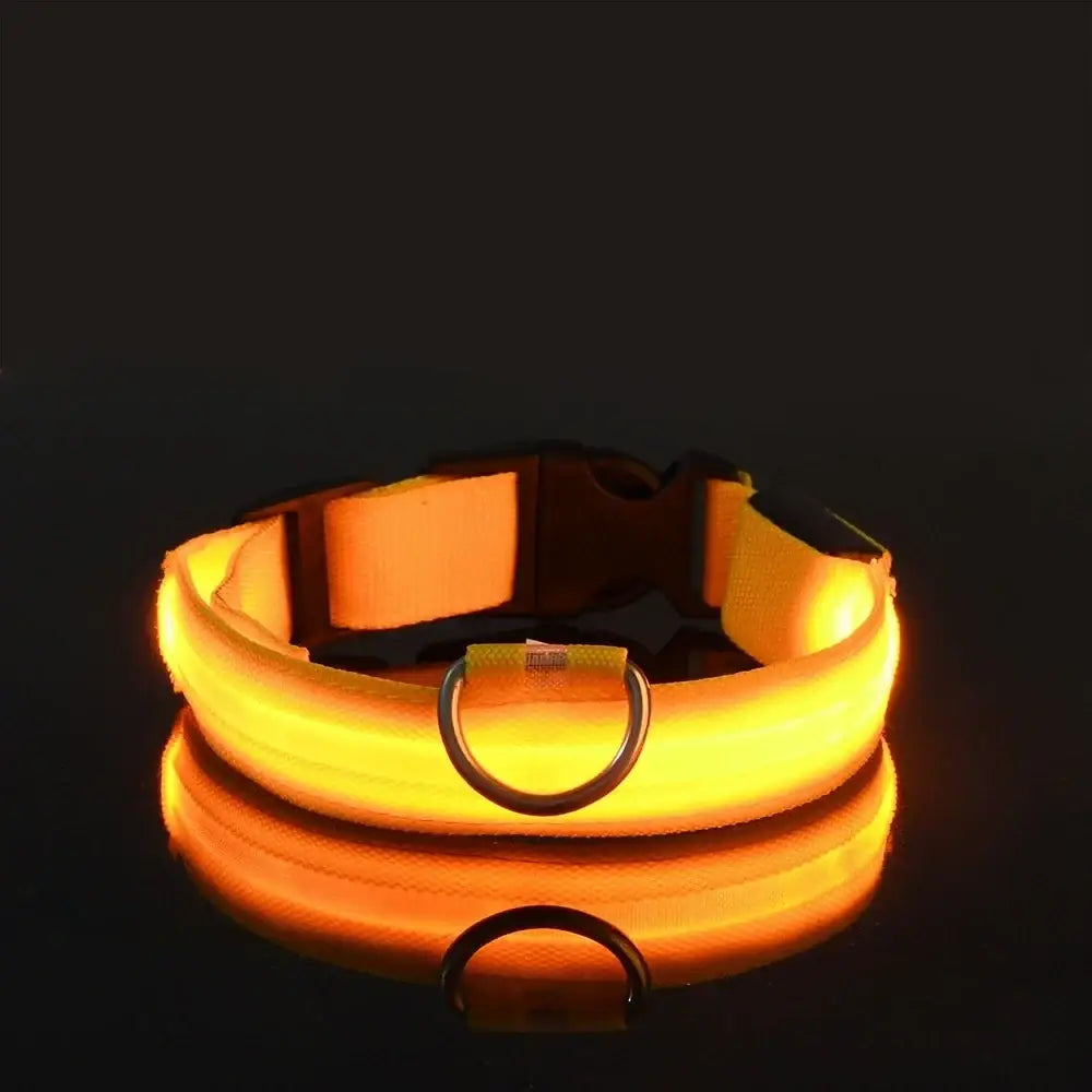 Glowing orange LED dog collar with a metal ring attachment.