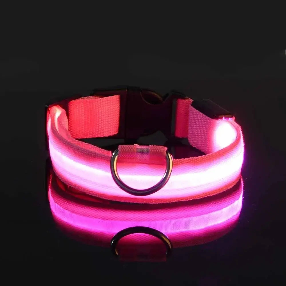 Glowing pink LED dog collar with a metal D-ring.