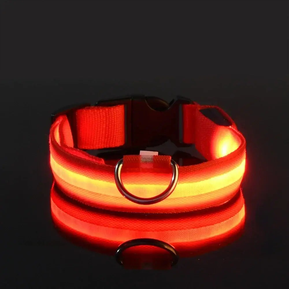 Glowing red LED dog collar with a metal ring attachment.