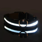 Rechargeable Light Up Dog Collar - Vignette | DoggyElite