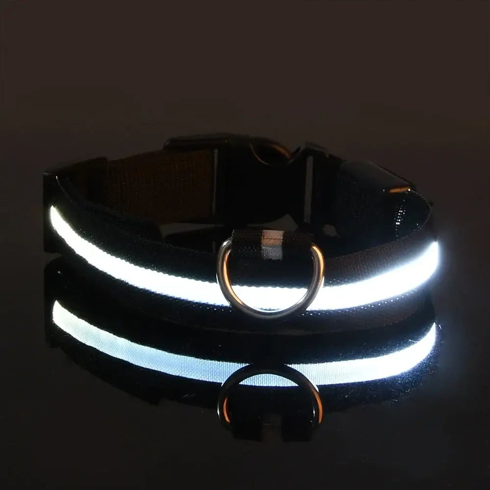 Reflective LED dog collar with two glowing white stripes and metal rings.