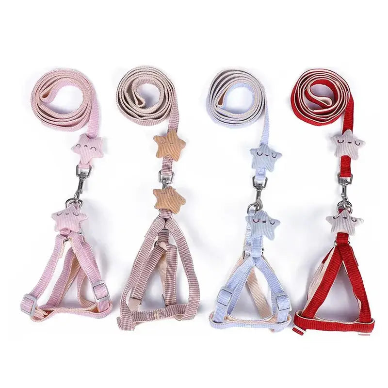 Set of colorful pet harnesses and leashes with decorative charms.