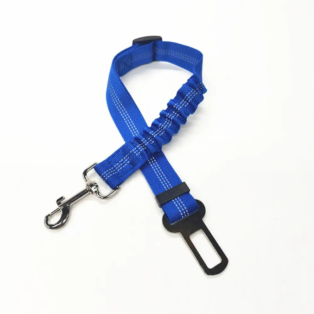 Blue dog seatbelt harness with metal clip attachment.