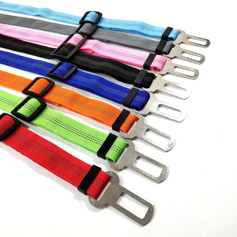 Colorful adjustable pet seatbelts or harnesses with metal buckles.