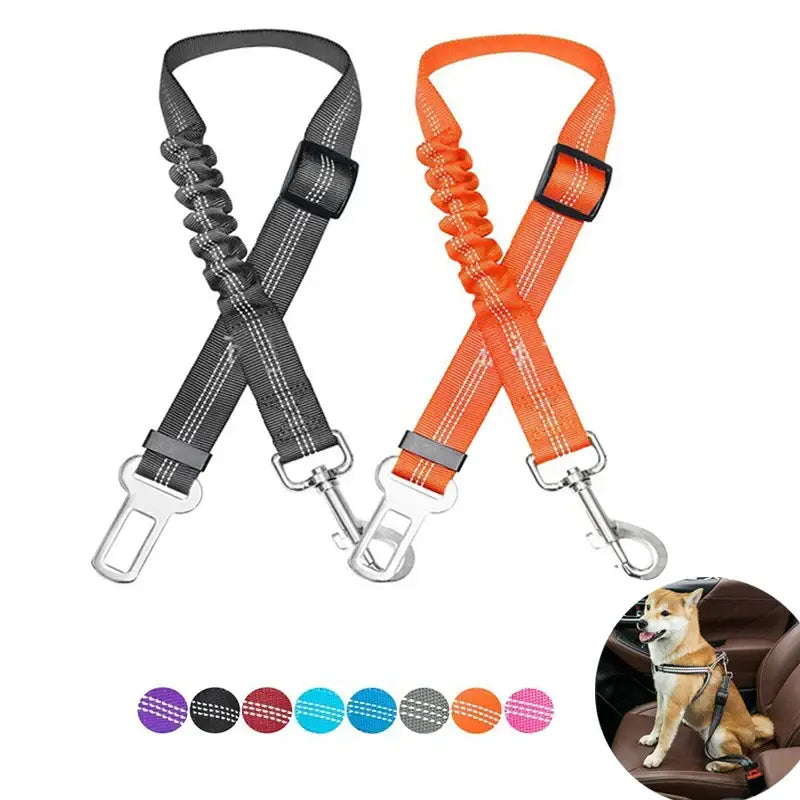 Dog seat belt harnesses in gray and orange with elastic bungee sections and metal clips.