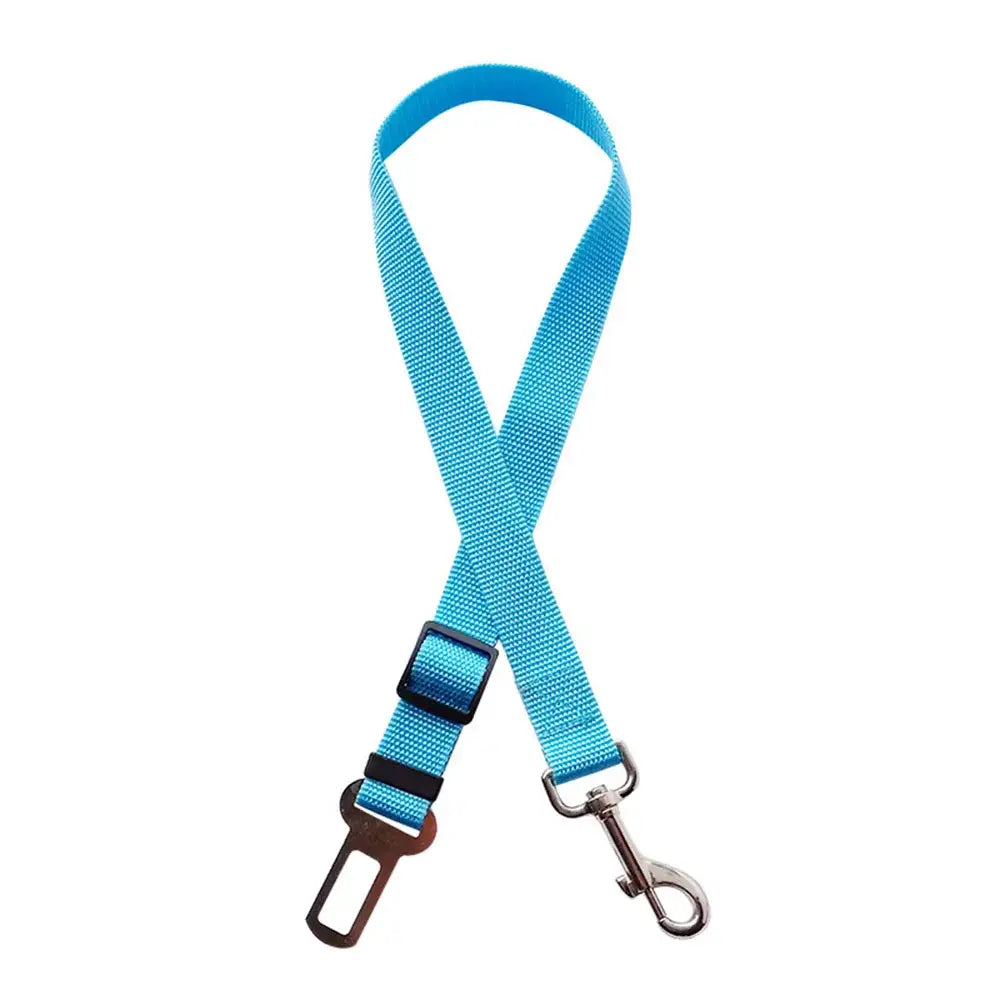 Light blue adjustable dog seatbelt with a clip and buckle.