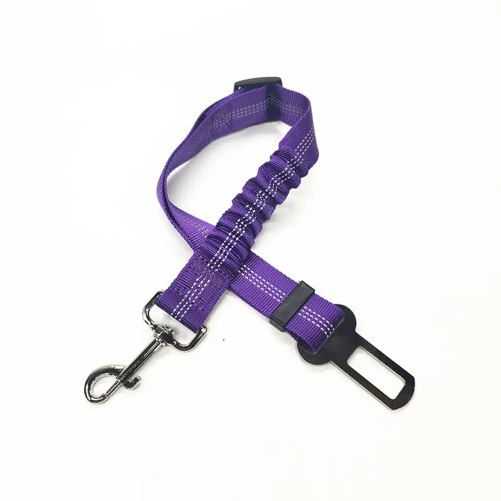 Purple dog seatbelt with a metal clip attachment.