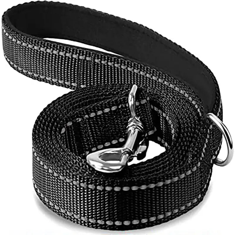 Black nylon dog leash with reflective stitching and metal hardware.