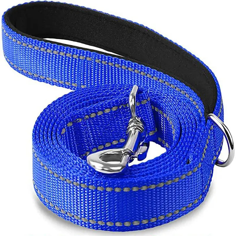 Blue nylon dog leash with reflective stitching and metal clip.