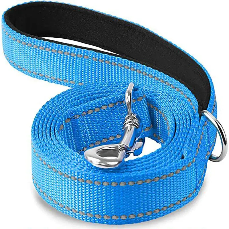 Bright blue nylon dog leash with reflective stitching and metal clip.