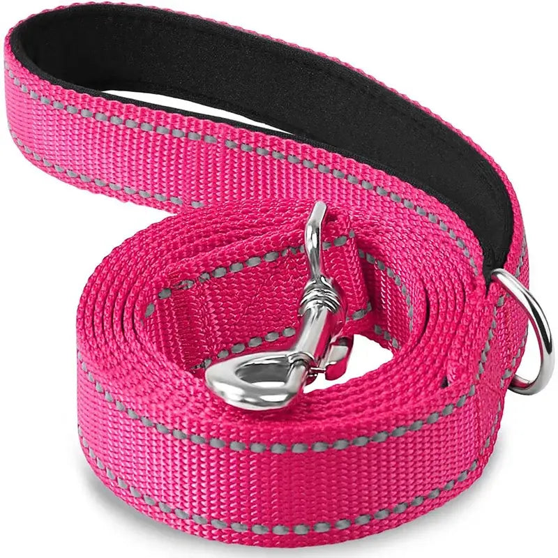 Bright pink dog leash with reflective stitching and metal hardware.