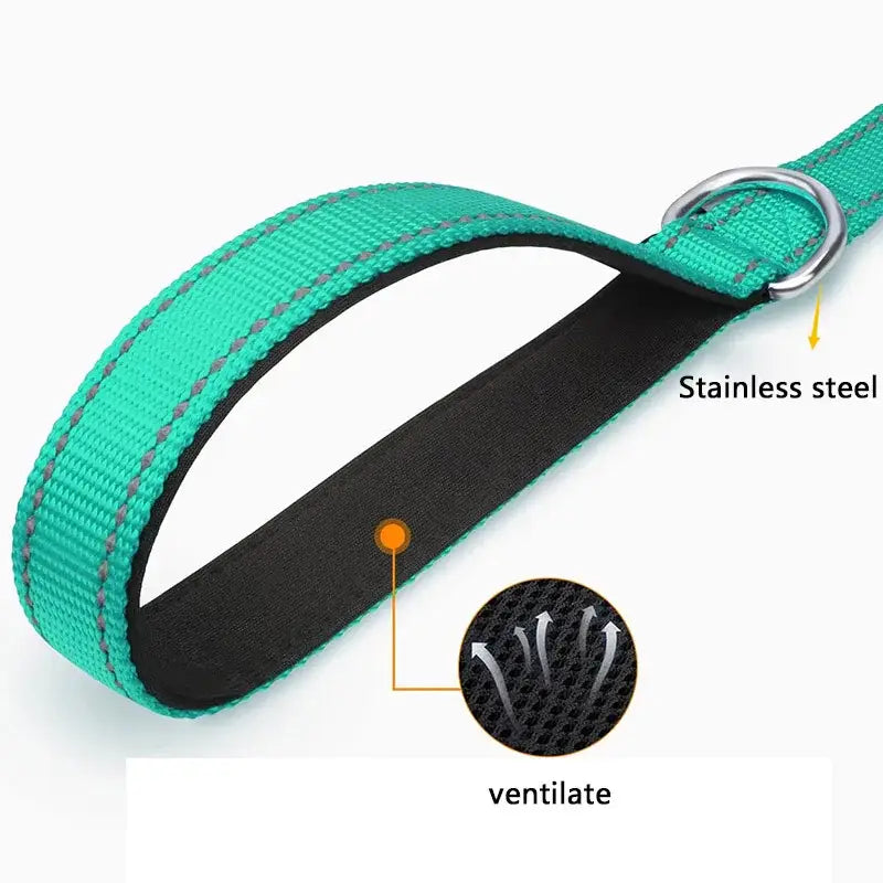 Bright teal dog collar with a padded black inner lining and metal hardware.