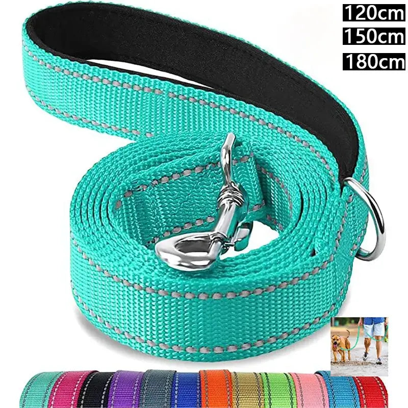 Bright teal dog leash with reflective stitching and metal hardware.