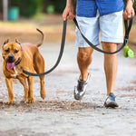 Reflective Dog Leash - Vignette | DoggyElite