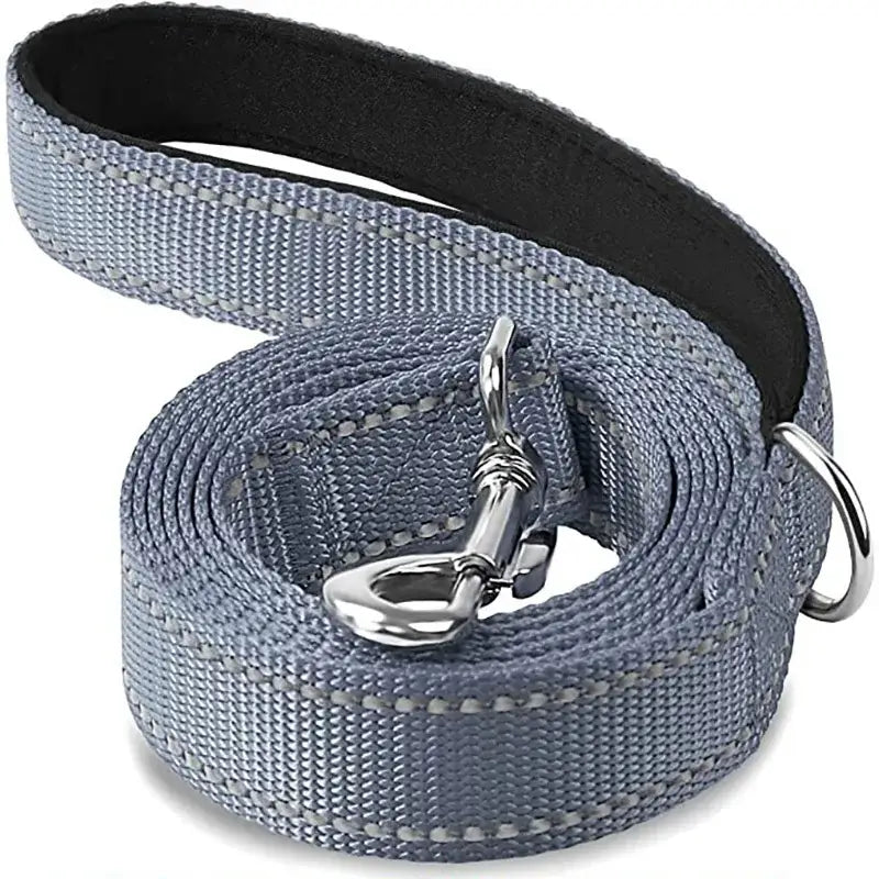 Gray nylon dog leash with metal clip and ring attachments.