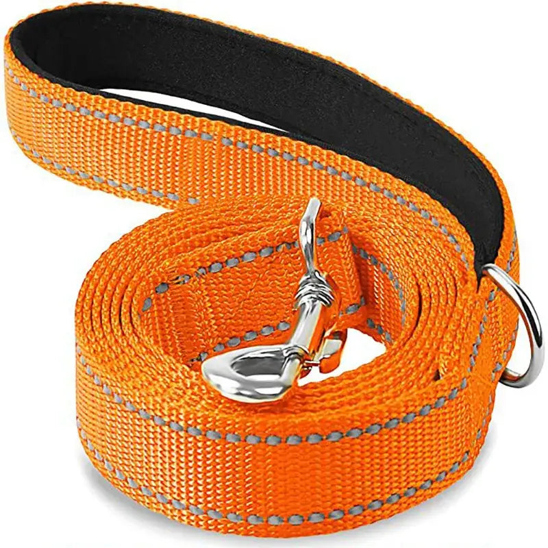 Orange nylon dog leash with reflective stitching and metal hardware.