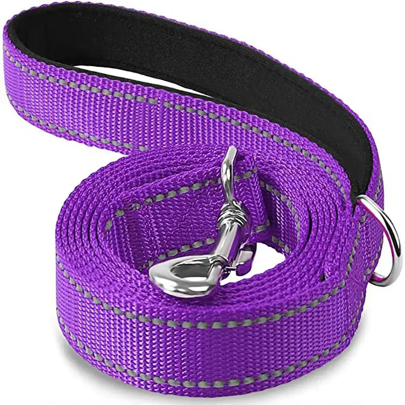 Purple nylon dog leash with reflective stitching and metal hardware.