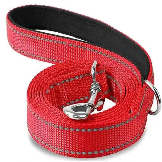 Red nylon dog leash with reflective stitching and metal clasp.