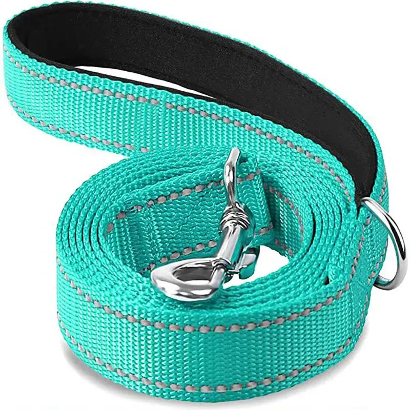 Teal nylon dog leash with reflective stitching and metal hardware.