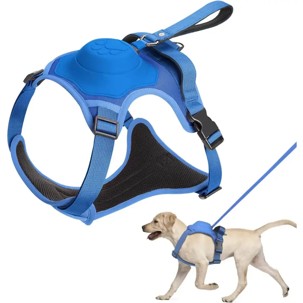 Blue and black dog harness with adjustable straps and a handle on top.