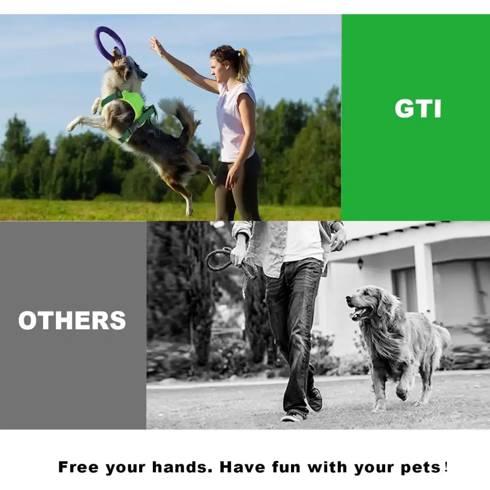 Comparison of two dog-walking styles, contrasting traditional leash walking with hands-free play using a device.