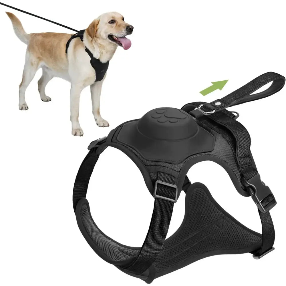 Dog harness with adjustable straps and a leash attachment point.