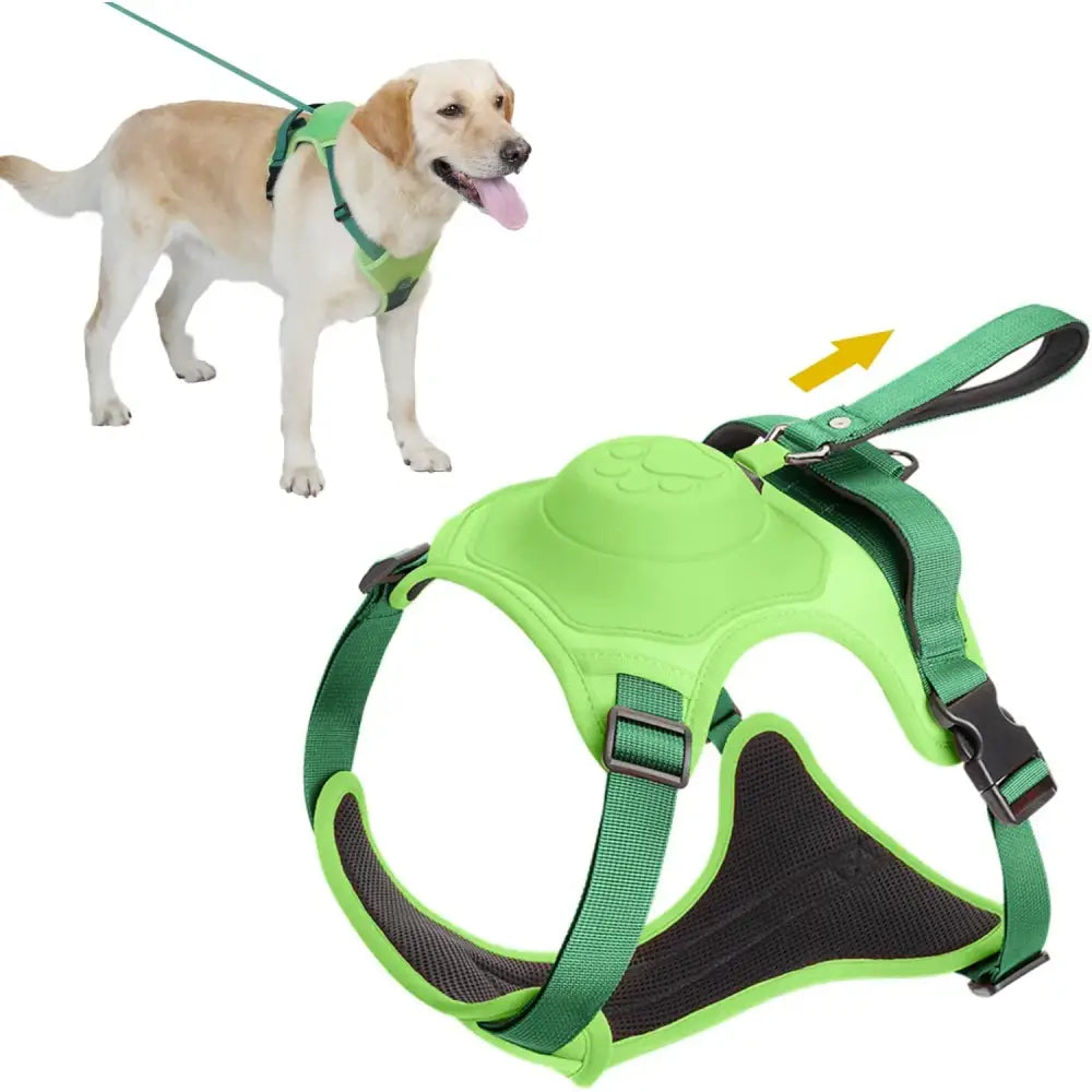 Dog harness with a bright green and black design featuring adjustable straps.