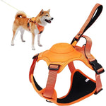 Retractable Dog Harness - Vignette | DoggyElite