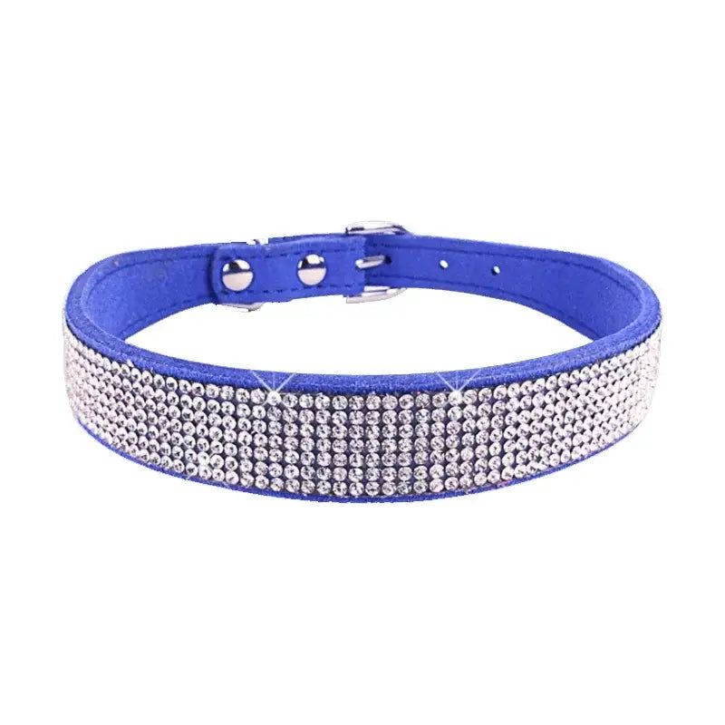 Blue dog collar adorned with rhinestones.