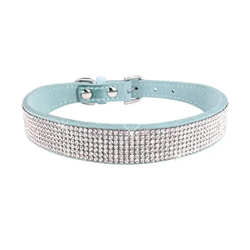 Pale blue leather dog collar adorned with rhinestones.