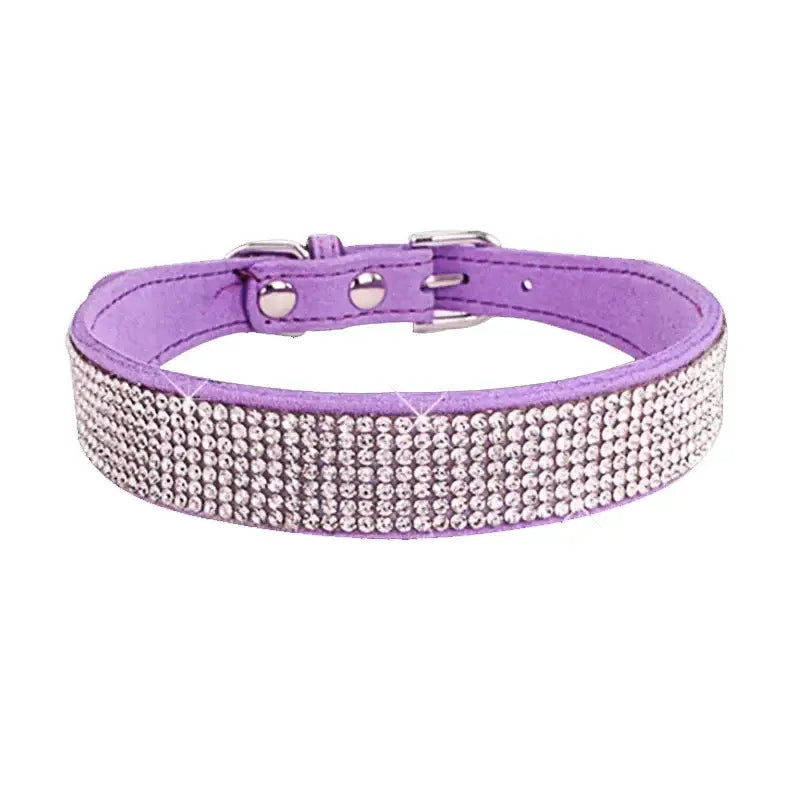 Purple leather dog collar adorned with rhinestones.