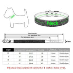 Rhinestone Dog Collar - Vignette | DoggyElite