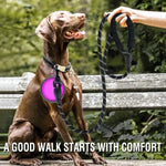 Rope Dog Leash With Padded Handle - Vignette | DoggyElite