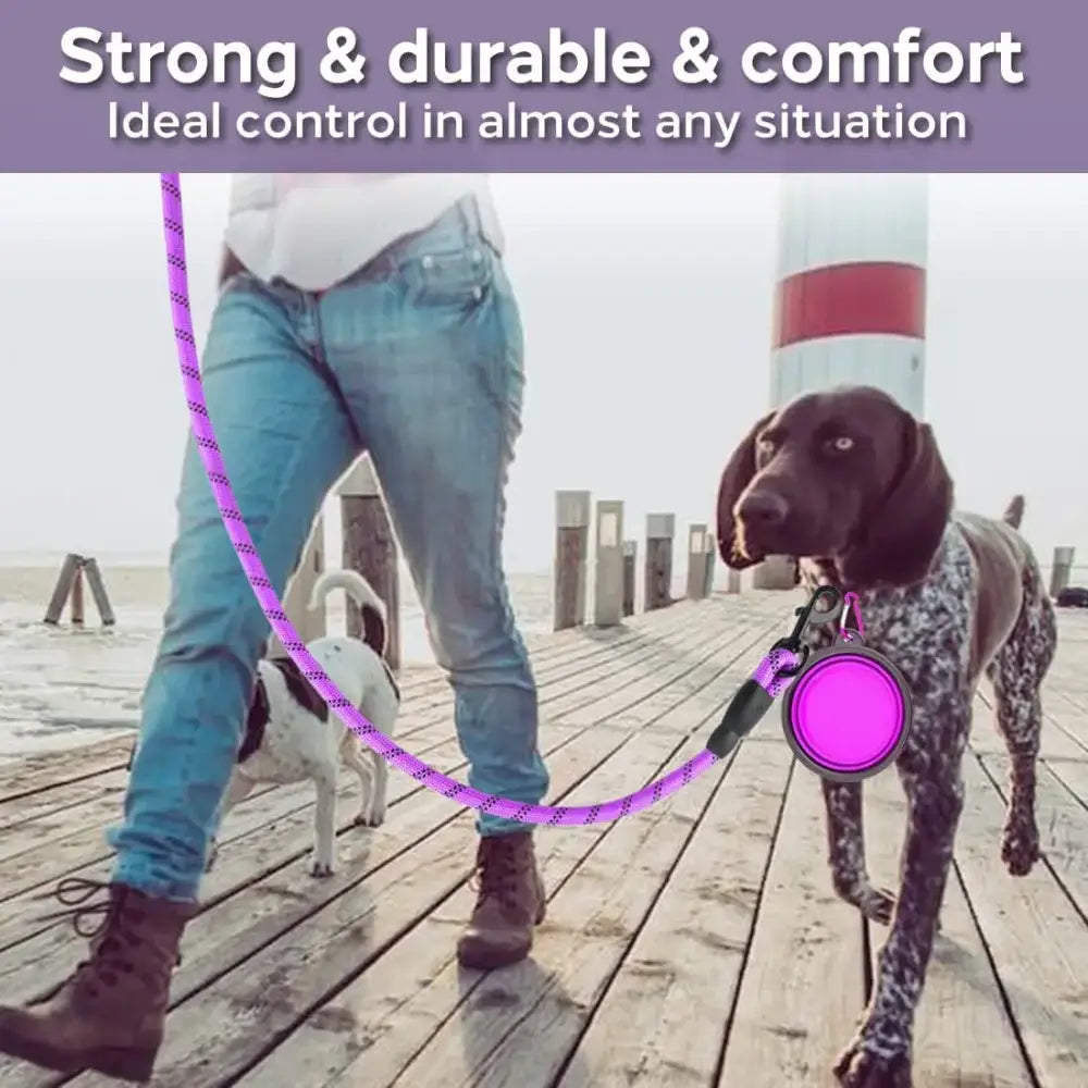 Dog leash with a bright purple cord and pink circular attachment.