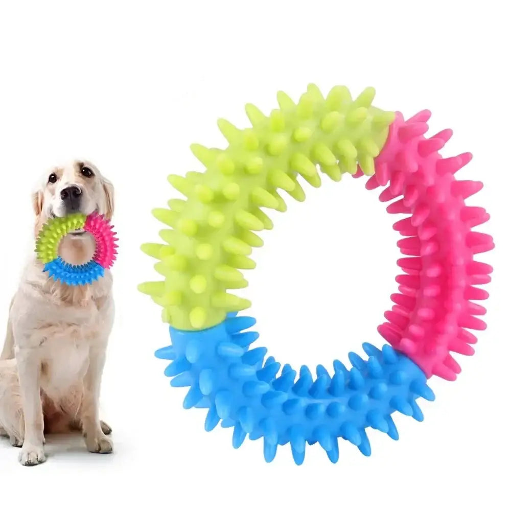 Colorful spiked rubber ring toy for dogs.