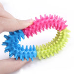 Rubber Dog Ring Toy - Vignette | DoggyElite